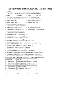 2025-2026学年陕西省宝鸡市凤翔区九年级（上）期末化学试卷（含答案）