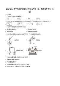 2025-2026学年陕西省咸阳市永寿县九年级（上）期末化学试卷（B卷）（含答案）
