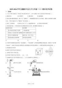2025-2026学年安徽省六安九中九年级（上）期末化学试卷（含答案）