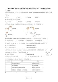 2025-2026学年河北省邯郸市临漳县九年级（上）期末化学试卷（含答案）