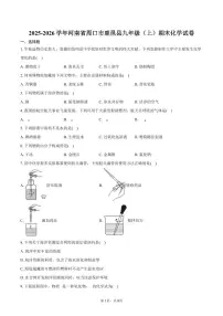 2025-2026学年河南省周口市鹿邑县九年级（上）期末化学试卷（含答案）