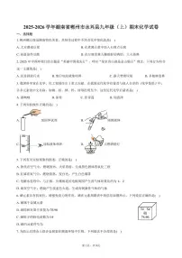 2025-2026学年湖南省郴州市永兴县九年级（上）期末化学试卷（含答案）