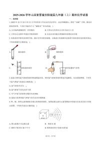 2025-2026学年山西省晋城市阳城县九年级（上）期末化学试卷（含答案）
