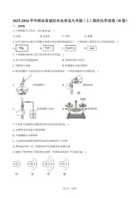 2025-2026学年陕西省咸阳市永寿县九年级（上）期末化学试卷（B卷）（含答案）
