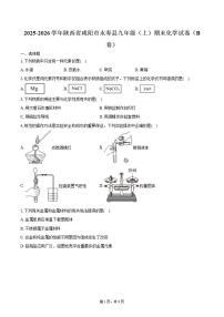 2025-2026学年陕西省咸阳市永寿县九年级（上）期末化学（B卷）试卷（含答案）