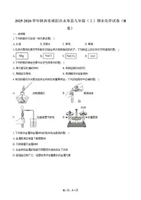 2025-2026学年陕西省咸阳市永寿县九年级（上）期末化学（B卷）试卷（含答案）