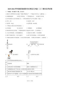 2025-2026学年陕西省咸阳市永寿县九年级（上）期末化学试卷（含答案）