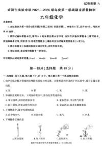 2025-2026学年陕西省咸阳市实验中学九年级上学期期末考试化学（图片版，含答案)试卷