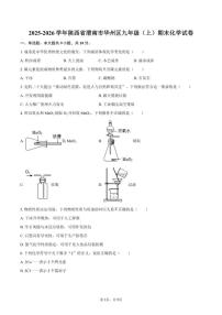 2025-2026学年陕西省渭南市华州区九年级（上）期末化学试卷（含答案）