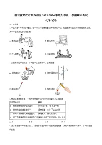 湖北省武汉市东西湖区2025-2026学年九年级上学期期末考试化学试卷（含答案）