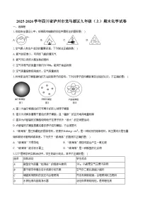 2025-2026学年四川省泸州市龙马潭区九年级（上）期末化学试卷（含答案）