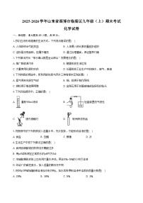 2025-2026学年山东省淄博市临淄区九年级（上）期末化学试卷（五四学制）（含答案）