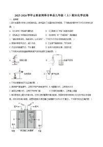 2025-2026学年山东省菏泽市单县九年级（上）期末化学试卷（含答案）