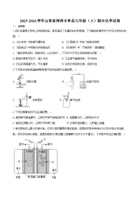 2025-2026学年山东省菏泽市单县九年级（上）期末化学试卷（含答案）