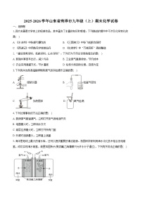 2025-2026学年山东省菏泽市九年级（上）期末化学试卷（含答案）