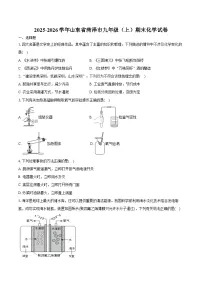 2025-2026学年山东省菏泽市九年级（上）期末化学试卷（含答案）