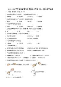 2025-2026学年山东省泰安市岱岳区八年级（上）期末化学试卷（含答案）
