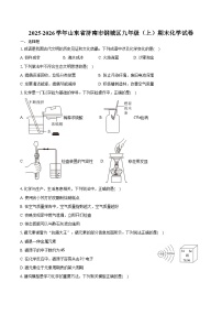 2025-2026学年山东省济南市钢城区九年级（上）期末化学试卷（含答案）