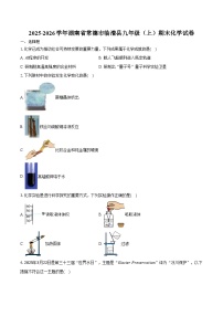 2025-2026学年湖南省常德市临澧县九年级（上）期末化学试卷（含答案）