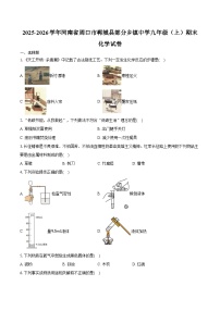 2025-2026学年河南省周口市郸城县部分乡镇中学九年级（上）期末化学试卷（含答案）
