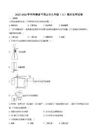 2025-2026学年河南省平顶山市九年级（上）期末化学试卷（含答案）