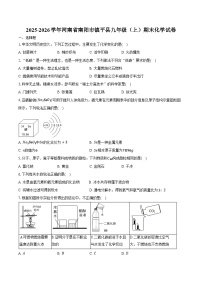 2025-2026学年河南省南阳市镇平县九年级（上）期末化学试卷（含答案）