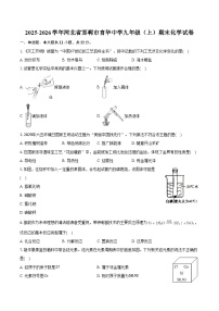 2025-2026学年河北省邯郸市育华中学九年级（上）期末化学试卷（含答案）