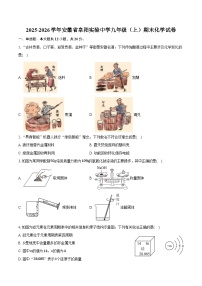 2025-2026学年安徽省阜阳实验中学九年级（上）期末化学试卷（含答案）