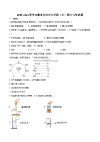 2025-2026学年安徽省安庆市九年级（上）期末化学试卷（含答案）