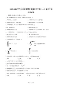 2025-2026学年山东省淄博市临淄区九年级（上）期末化学试卷（五四学制）（含答案）