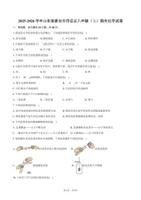 2025-2026学年山东省泰安市岱岳区八年级（上）期末化学试卷（含答案）