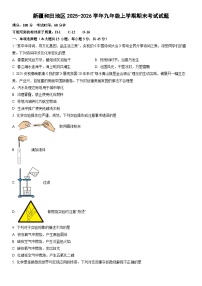 2025-2026学年新疆和田地区九年级上学期期末考试化学试卷（学生版）