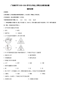 2025-2026学年广西南宁市九年级上学期期末义务教育质量调研化学试卷（学生版）