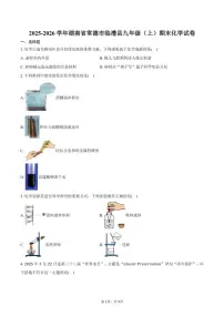 2025-2026学年湖南省常德市临澧县九年级（上）期末化学试卷（含答案）