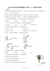 2025-2026学年河南省鹤壁市九年级（上）期末化学试卷（含答案）