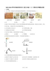 2025-2026学年河南省郑州市三校九年级（上）期末化学模拟试卷（含答案）