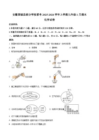 安徽省蚌埠市固镇县部分学校2025-2026学年九年级上学期1月期末化学试题