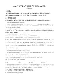 江苏盐城市阜宁县2025-2026学年九年级上学期期末考试化学试卷（试卷+解析）