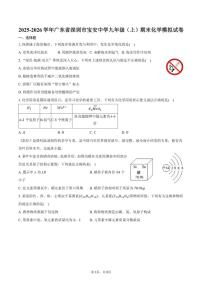2025-2026学年广东省深圳市宝安中学九年级（上）期末化学模拟试卷（含答案）
