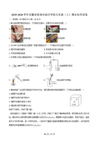 2025-2026学年安徽省淮南市部分学校九年级（上）期末化学试卷（含答案）