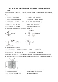 2025-2026学年山东省菏泽市单县九年级（上）期末化学试卷（含答案）