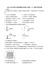 2025-2026学年山东省菏泽市单县九年级（上）期末化学试卷（含答案）