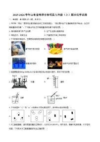 2025-2026学年山东省菏泽市东明县九年级（上）期末化学试卷（含答案）