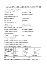 2025-2026学年山东省泰安市岱岳区九年级（上）期末化学试卷（含答案）