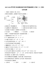 2025-2026学年四川省成都实验外国语学校融通班九年级（上）期末化学试卷（含答案）