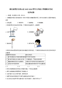 湖北省武汉市洪山区2025-2026学年九年级上学期期末考试化学试卷（含答案）