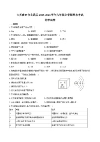 江苏南京市玄武区2025-2026学年九年级上学期期末考试化学试卷（含答案）