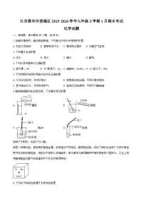 江苏泰州市姜堰区2025-2026学年九年级上学期1月期末考试化学试卷（含答案）