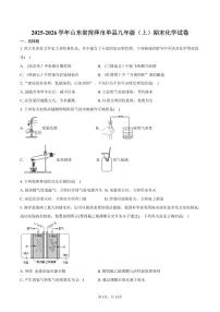 2025-2026学年山东省菏泽市单县九年级（上）期末化学试卷（含答案）