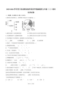 2025-2026学年四川省成都实验外国语学校融通班九年级（上）期末化学试卷（含答案）